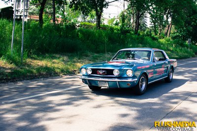 Mustang_Courtney_3_resize.jpg