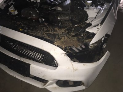 2015 er Unfall 2.jpg